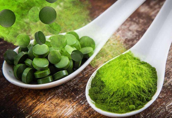 螺旋藻好色先生TV免费下载 螺旋藻好色先生TV免费下载